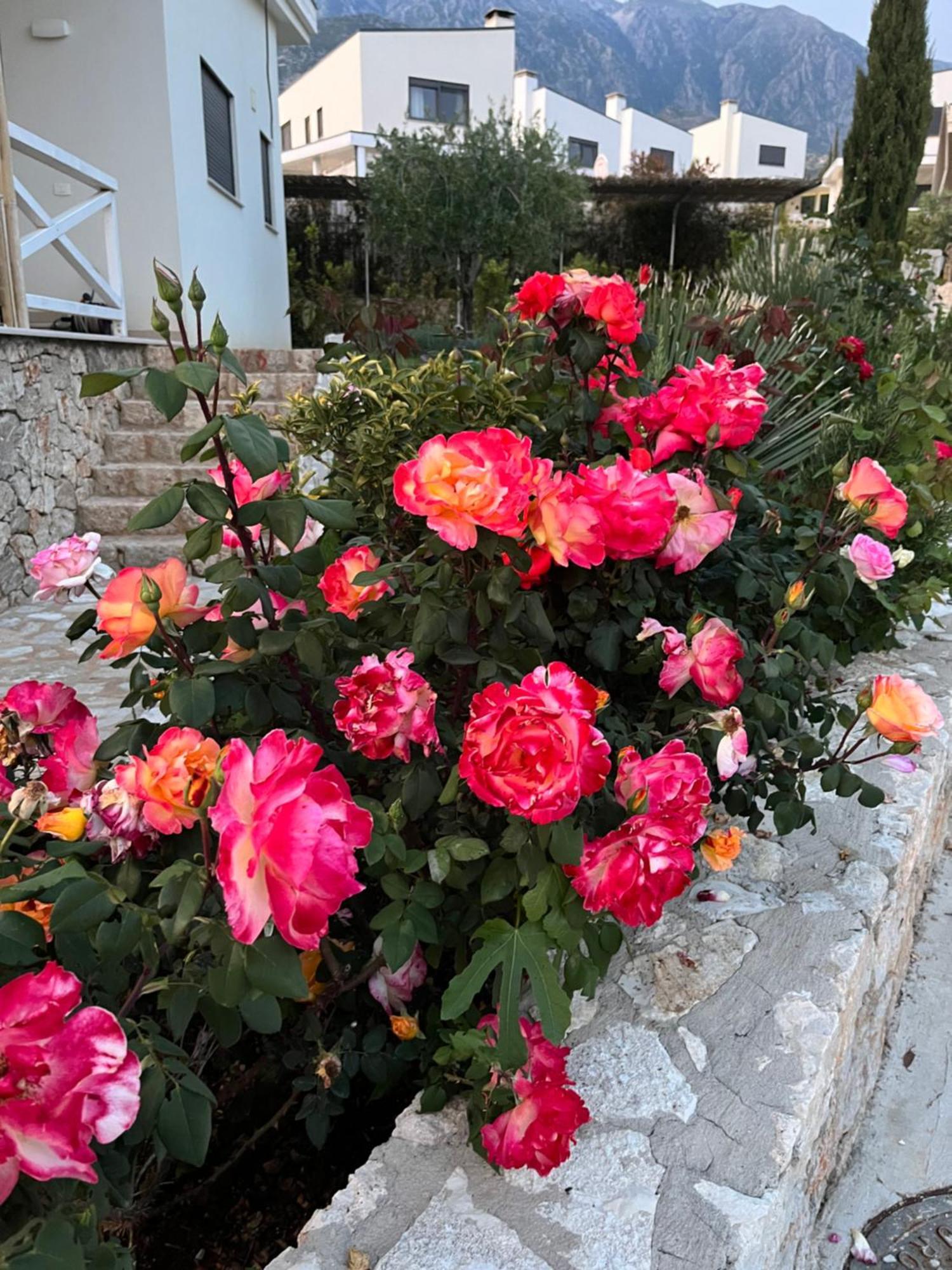 White Rocks Edera 2 I Apartment Dhermi Exterior photo